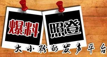 重庆最新爆料台,揭秘城市热点事件背后的真相  第1张